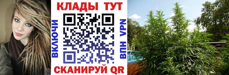  Кокаин Алапаевск