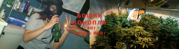 мдпв Новозыбков