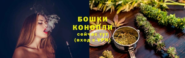 соль ск Новодвинск