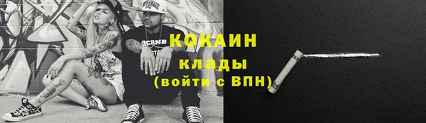 соль ск Новодвинск