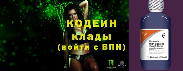 мдпв Новозыбков