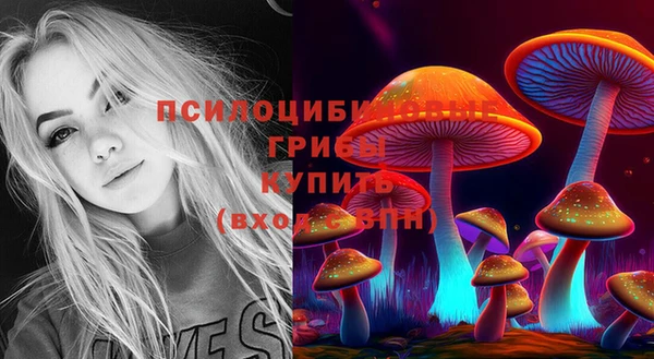 соль ск Новодвинск