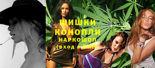 мдпв Новозыбков
