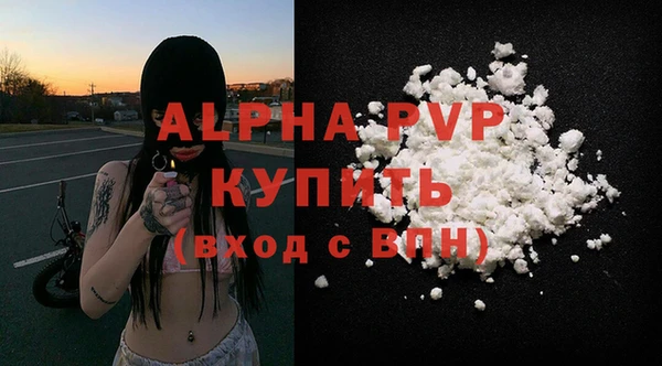 мдпв Новозыбков