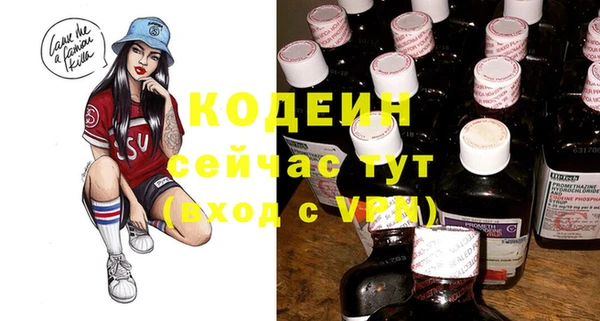 мдпв Новозыбков