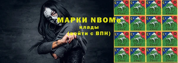 мдпв Новозыбков