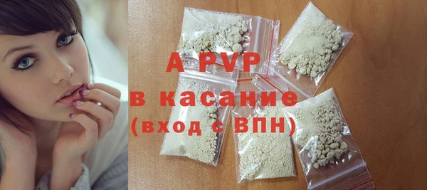соль ск Новодвинск