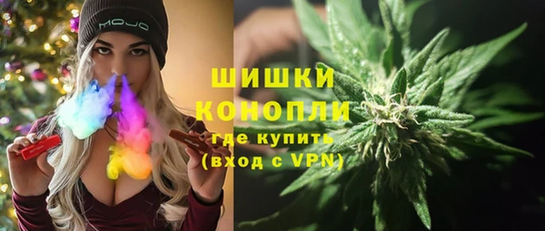 мдпв Новозыбков