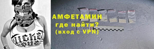 мдпв Новозыбков