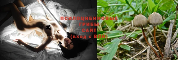 мдпв Новозыбков