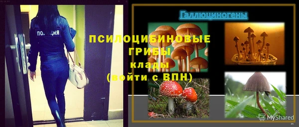 MESCALINE Туринск