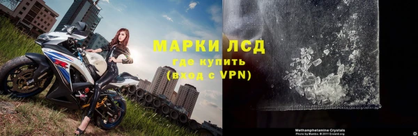 мдпв Новозыбков