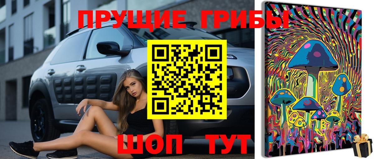 Галлюциногенные грибы Psilocybine cubensis Алапаевск