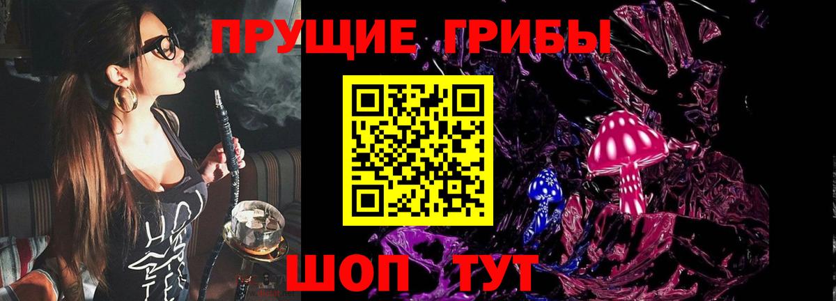 Псилоцибиновые грибы Psilocybe  Алапаевск 