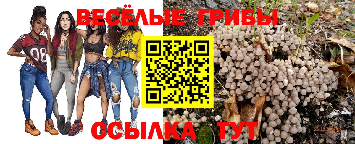 Алапаевск  Псилоцибиновые грибы Psilocybine cubensis  где купить   Псилоцибиновые грибы Psilocybine cubensis  Вход с VPN 