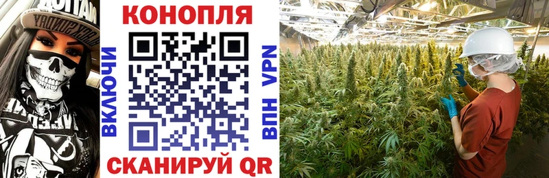 darknet официальный сайт Алапаевск Шишки марихуана AK-47